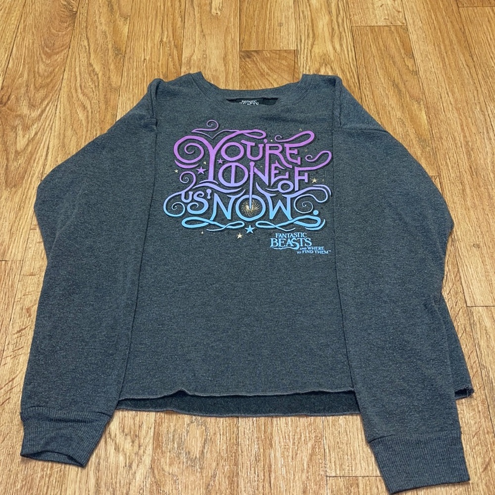 Fantastic Beasts Cropped Sweatshirt